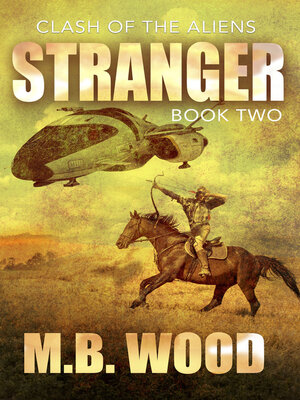 cover image of Stranger